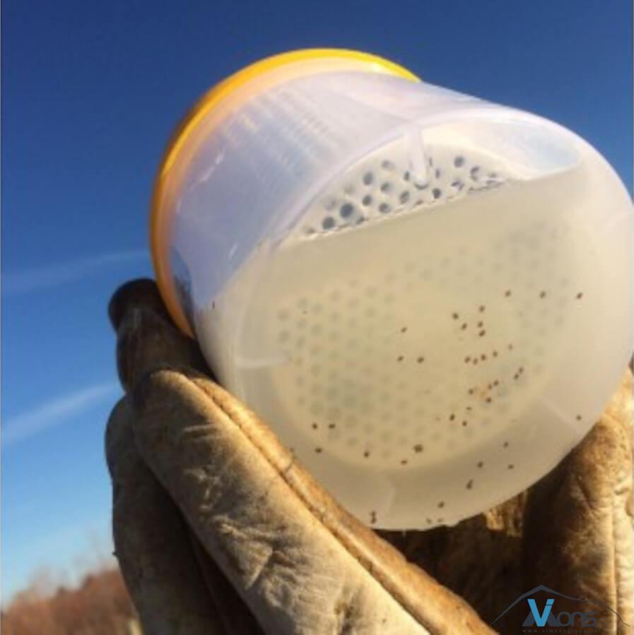 Varroa Easy Check - Varoa monitoring, Jednostavna provera - Slika 5