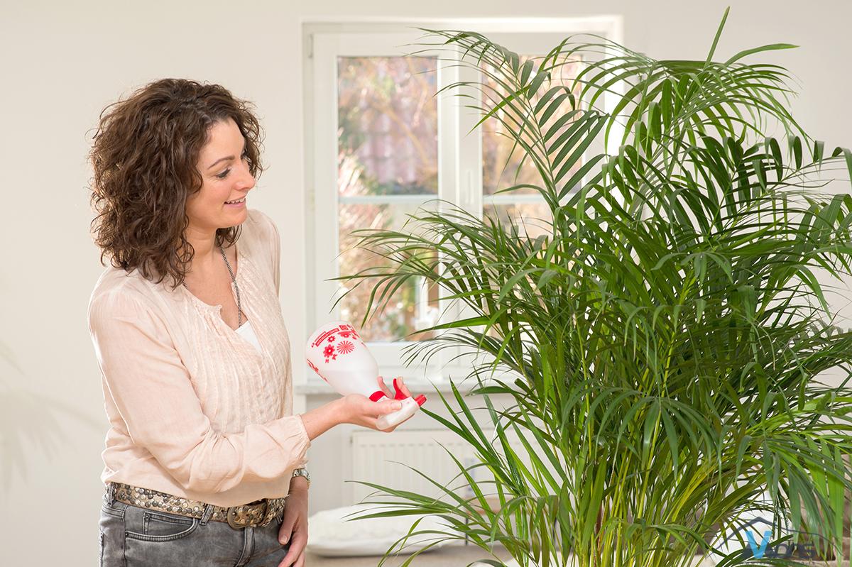 Sunlution 360° - Slika 3