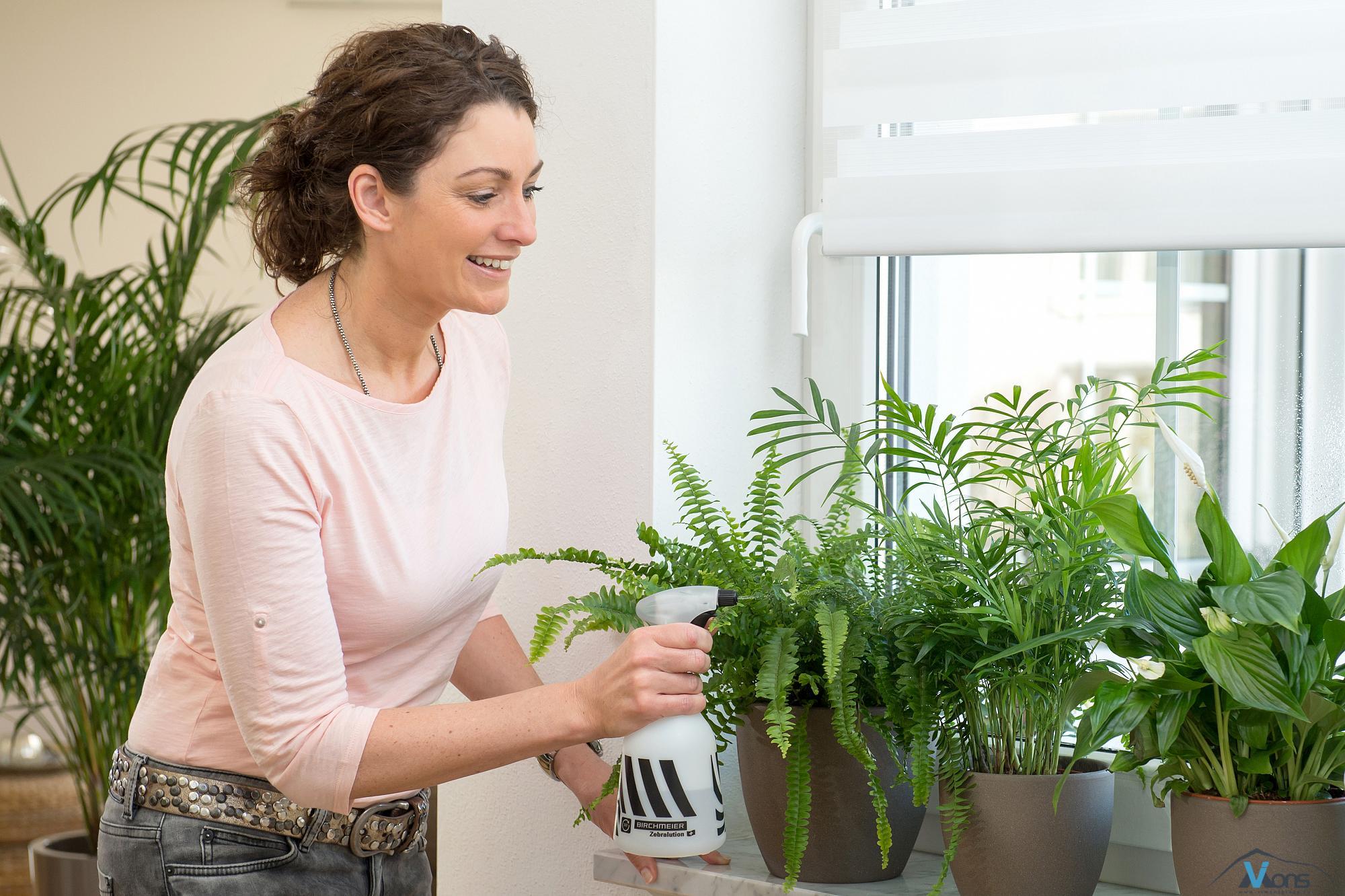 Zebralution 360° - Slika 3