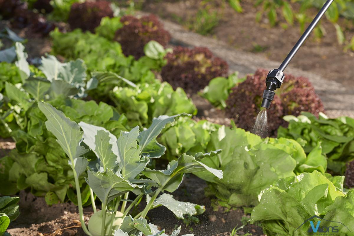 Hobby Star 5 - Slika 4