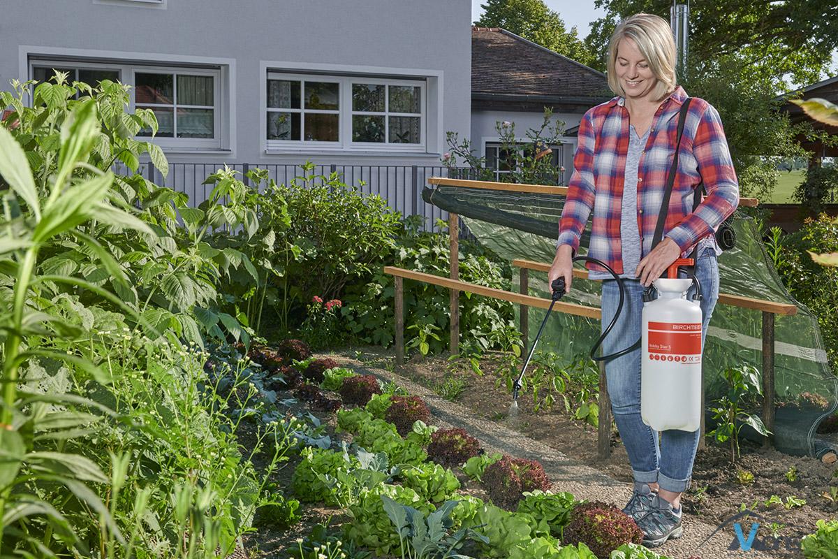 Hobby Star 5 - Slika 2