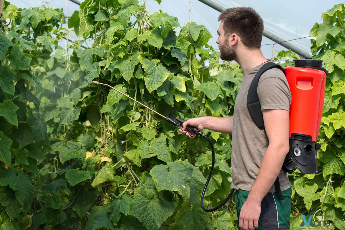 REB 15 AC1 CAS - Slika 2